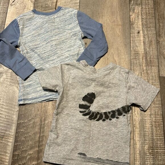 5‎ pc LOT BOY SHIRTS size 4T - Picture 6 of 8